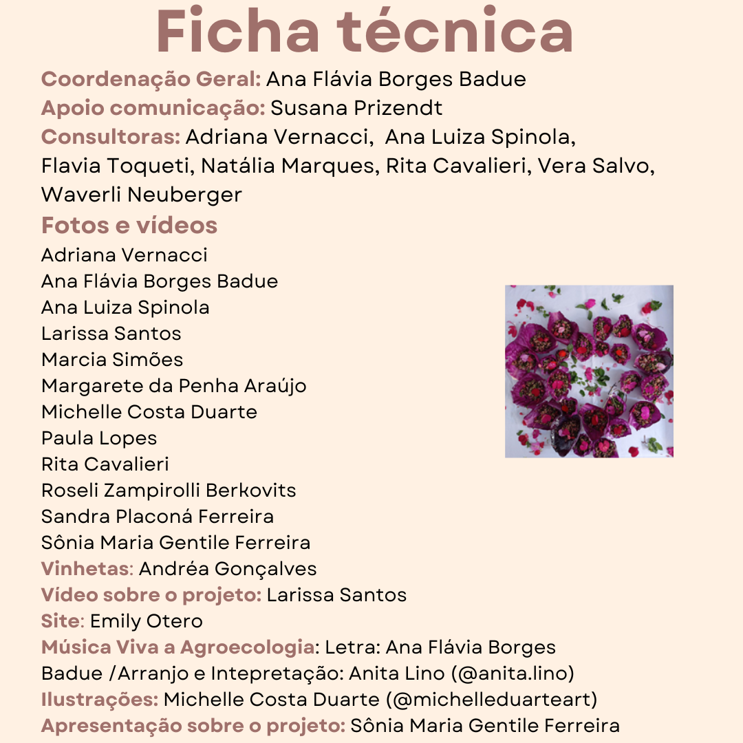 Imagem 12